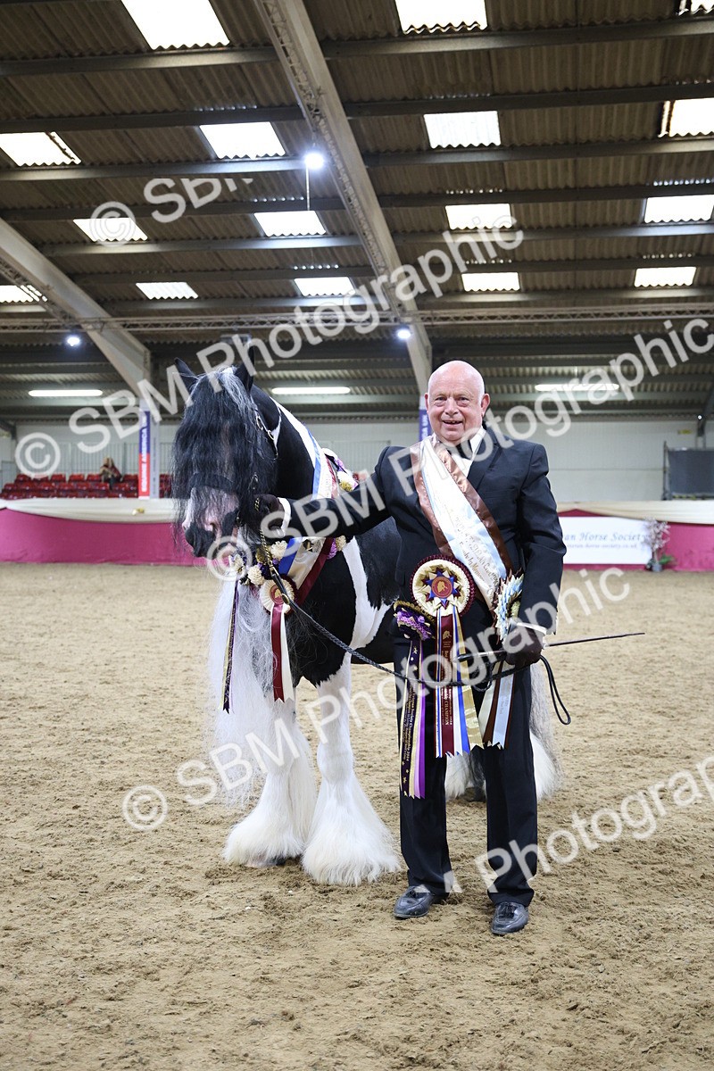 SBM_18631 - Class C Best Turned Out Champ