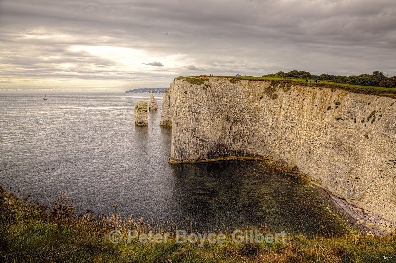 'Old Harry' - The Coast
