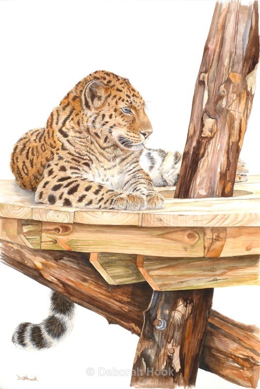 Hope, Dimitri - Big cats