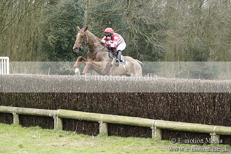 PtP 110318 51 - Hampshire Hunt Point-to-Point Hackwood Park 11/03/18