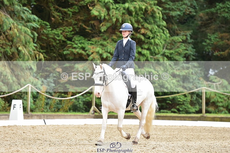 250719A-143508-06285 - 166-Ruby.Vincent-Silver.lining