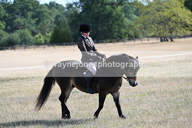 WJ7_2918 - Class 8 Ridden Tack & Turnout