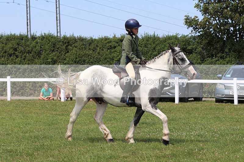 JPP_3219 - Class 22: Working Hunter 70cm