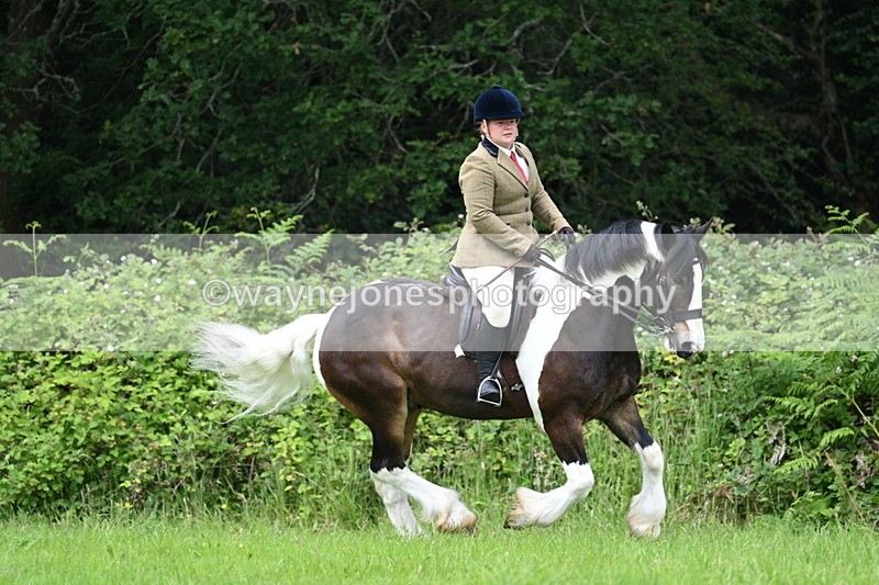 WJ7_2379 - Class 12A Coloured Class