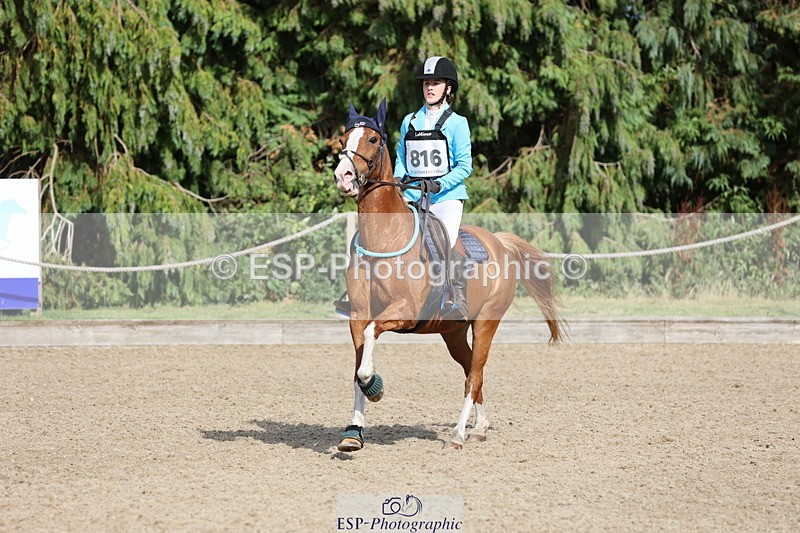 250803A-165205-17643 - R-816-Tiana.Gale-MISS.MOLLY