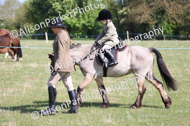 20250427-1552 - Class 31 - Leading Rein Pony