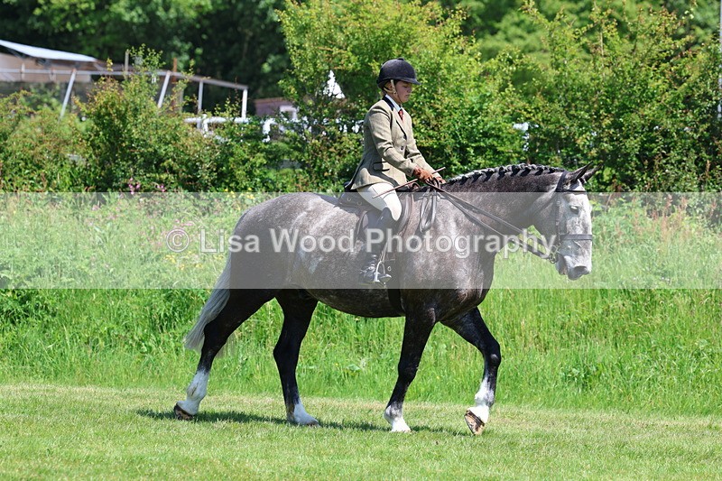 3E7A8183 - Class 13: Ridden Hunter