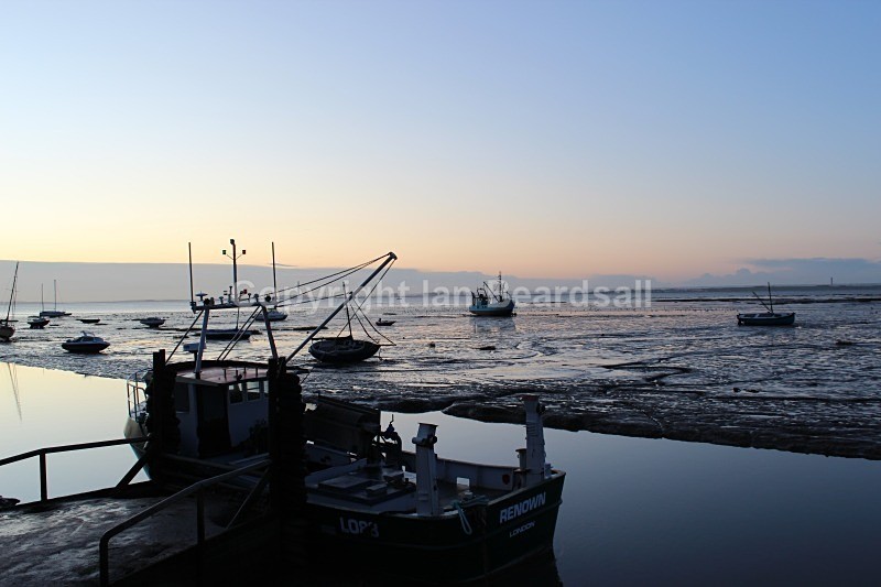 Cold Light Of Dawn - Essex