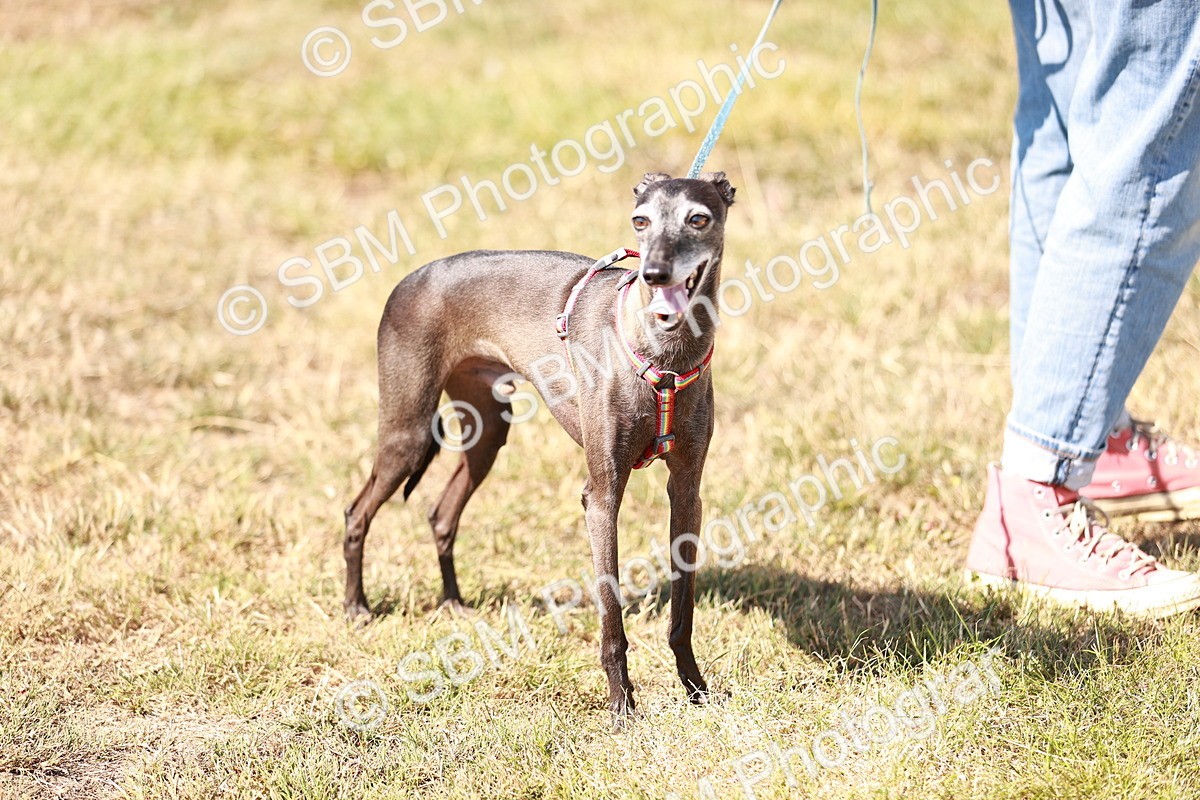 SBM_004879 - Class 12 - Novice 5 - 12.02-12.44