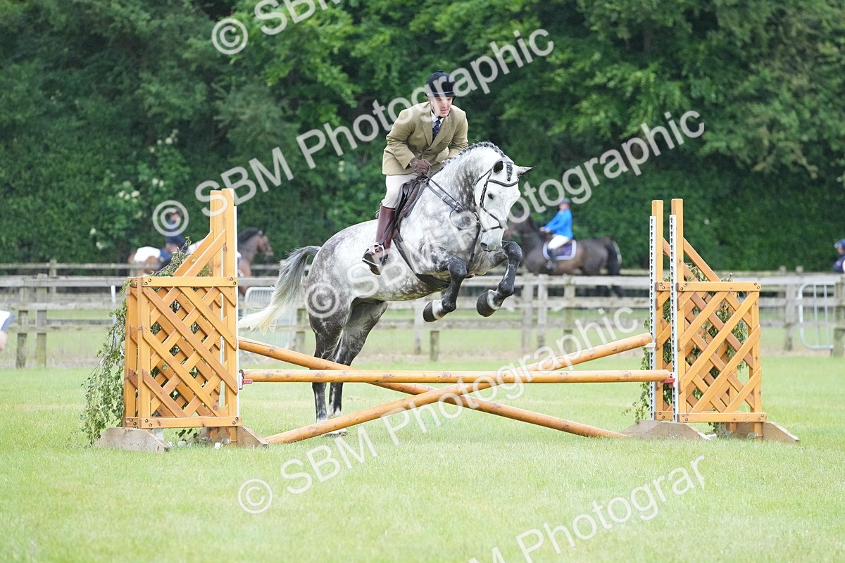 SBM_12602 - Class 97-98 - LIHS BSHA Rising Star Working Show Horse Hunter