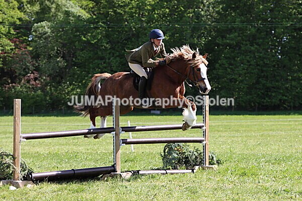 IMG_4747 - Working Hunter