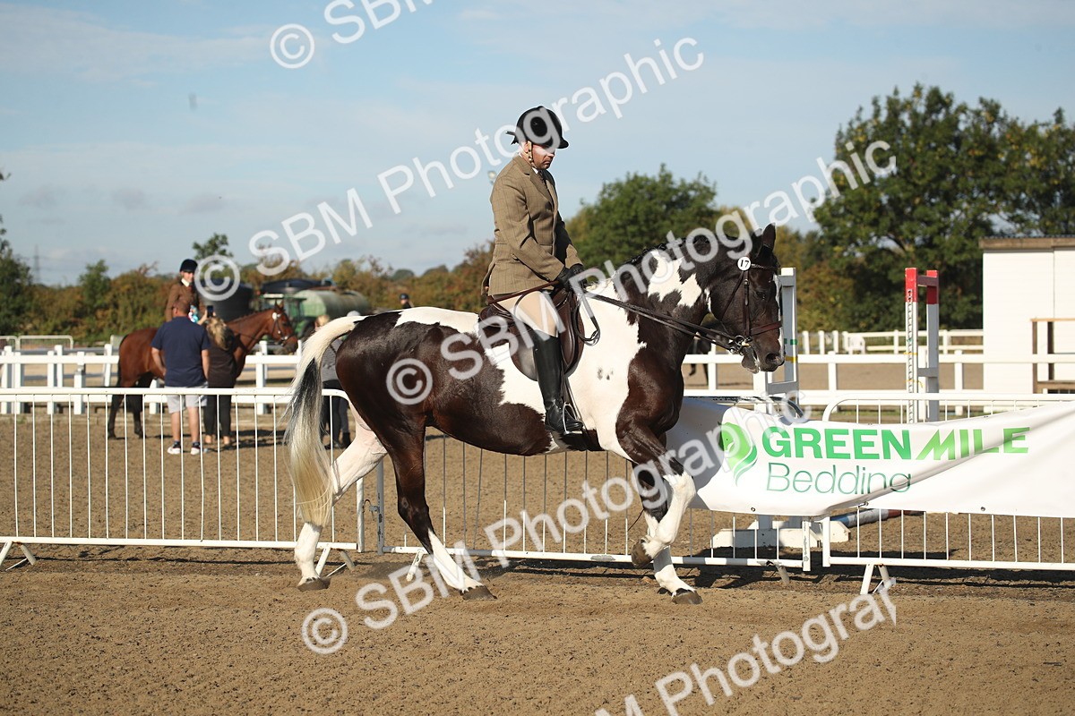 SBM_11282 - Class 501 -Riding Club Pony