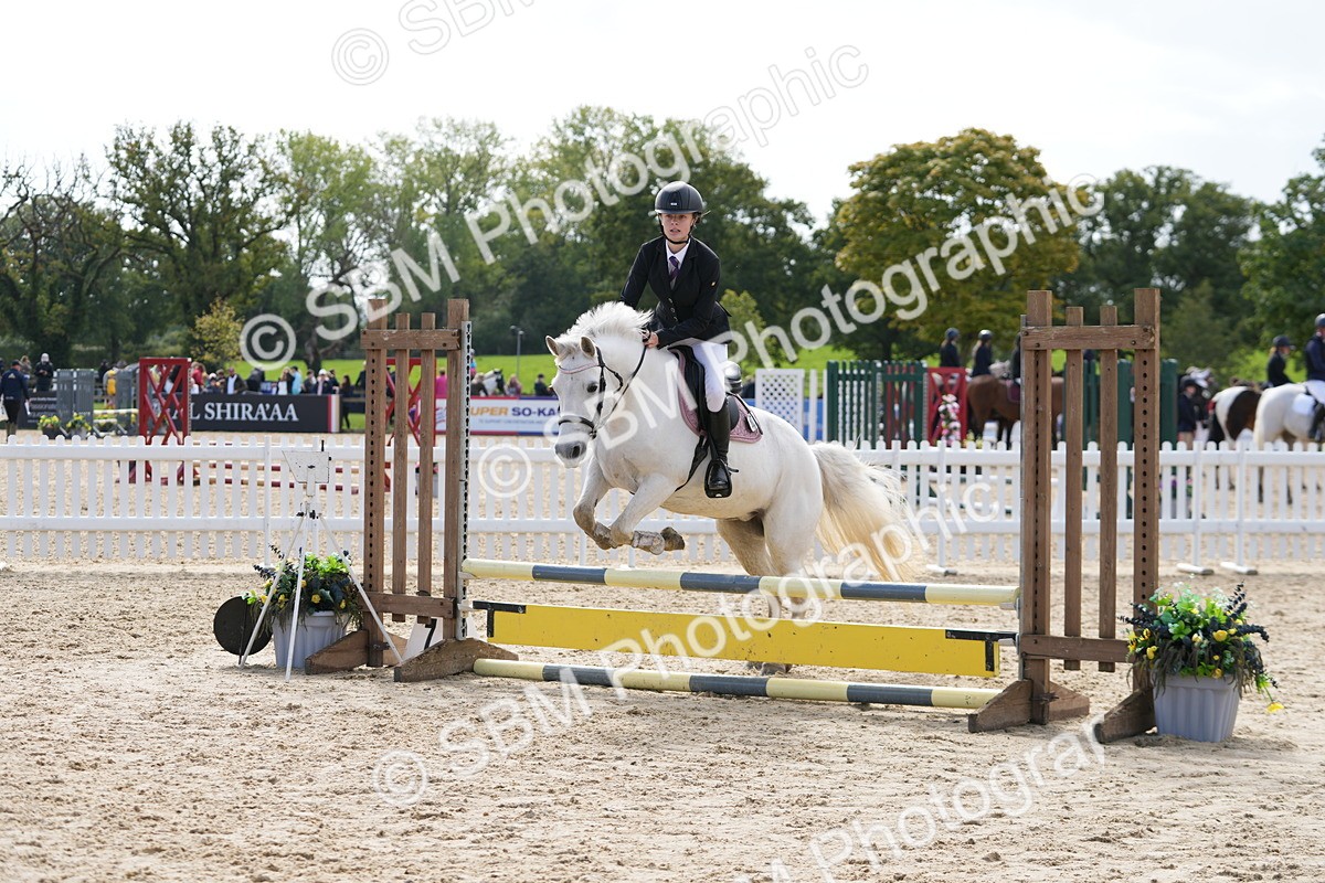SBM_40793 - Supreme championship 50cm 55cm