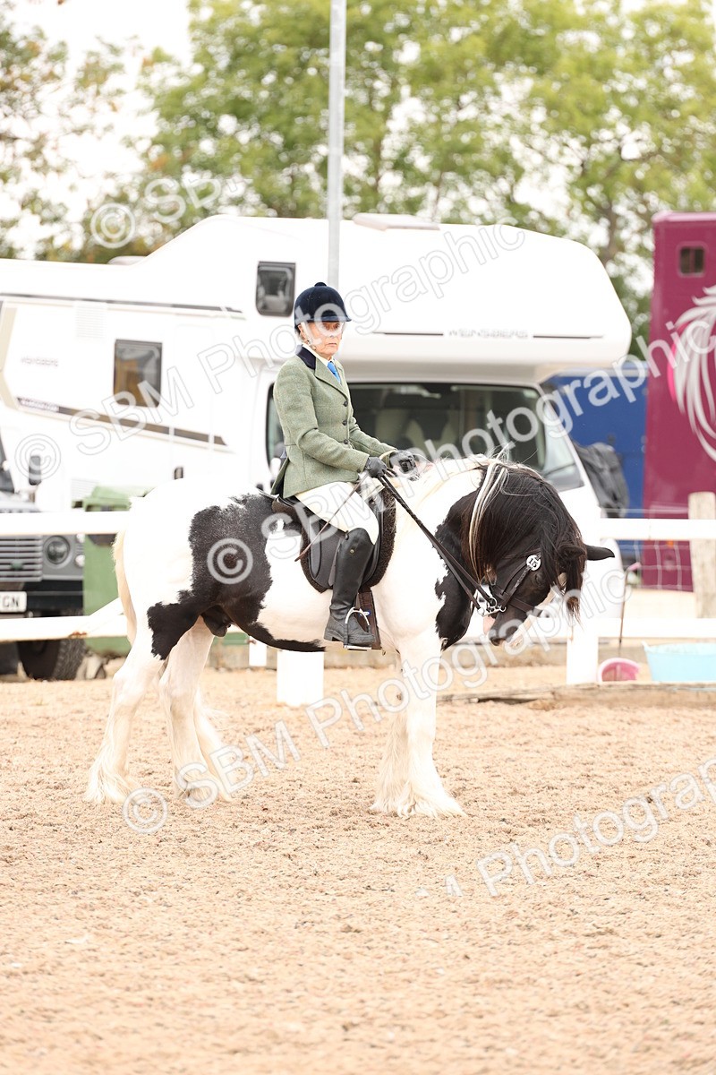 SBM_19721 - Class 216 - Ridden Traditional - Native Cob