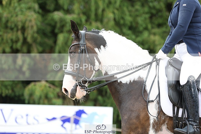 230813-151033-07992 - Cls 11 Elem Bronze 14.30 to End