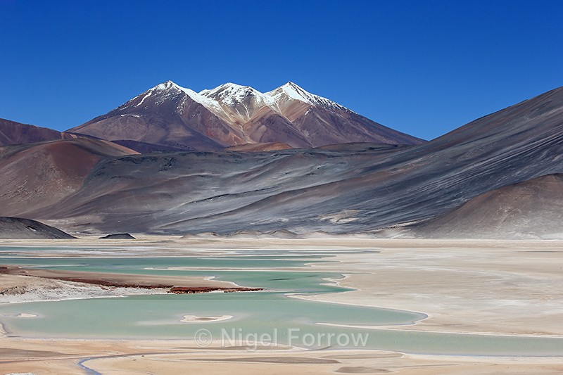 Piedras Rojas & Cerros de Incahuasi, Atacama Desert, Chile - Chile