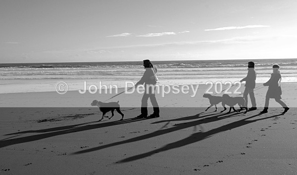3 make 4 - Walking the Dog