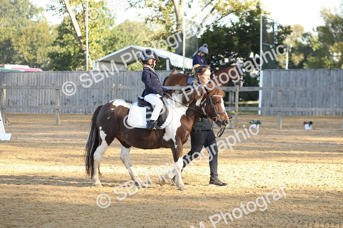 SBM_33704 - D26 - Starers - Lead Rein