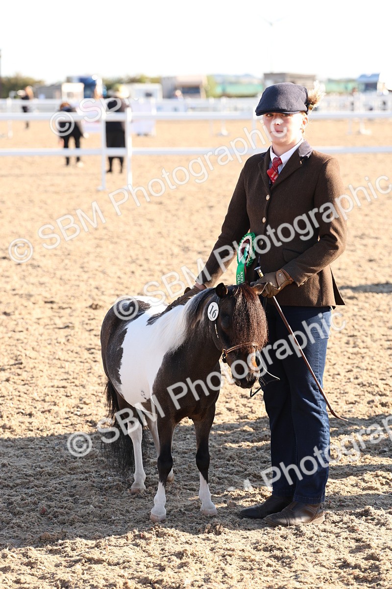 SBM_10803 - Class 201 - Best Turned Out - IH