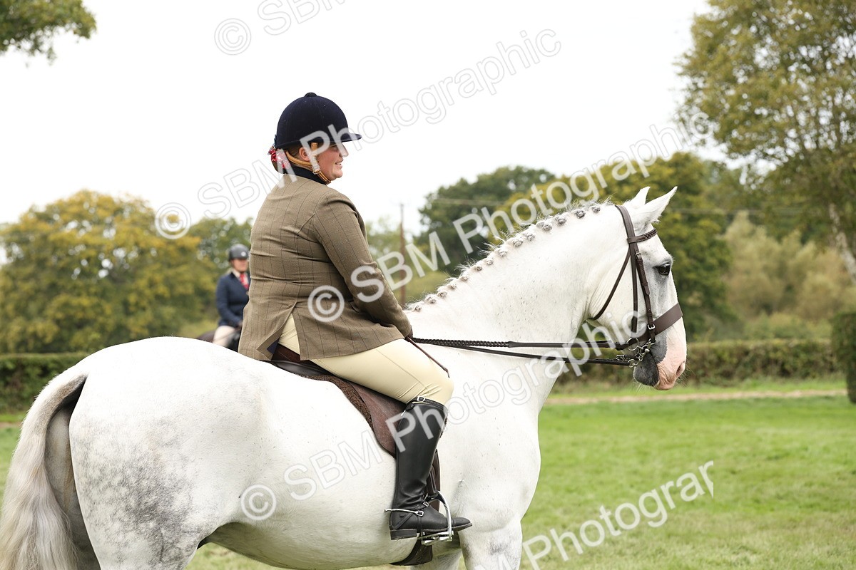 SBM_66390 - S66 - Hunter Ridden