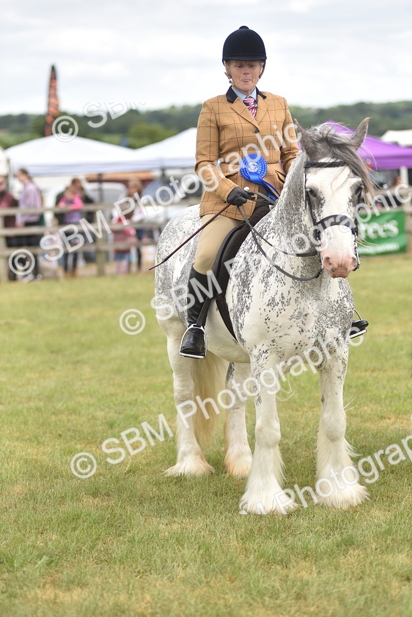 SBM_15864 - Class 115-116 - SSADL Home Produced Members Qualifier