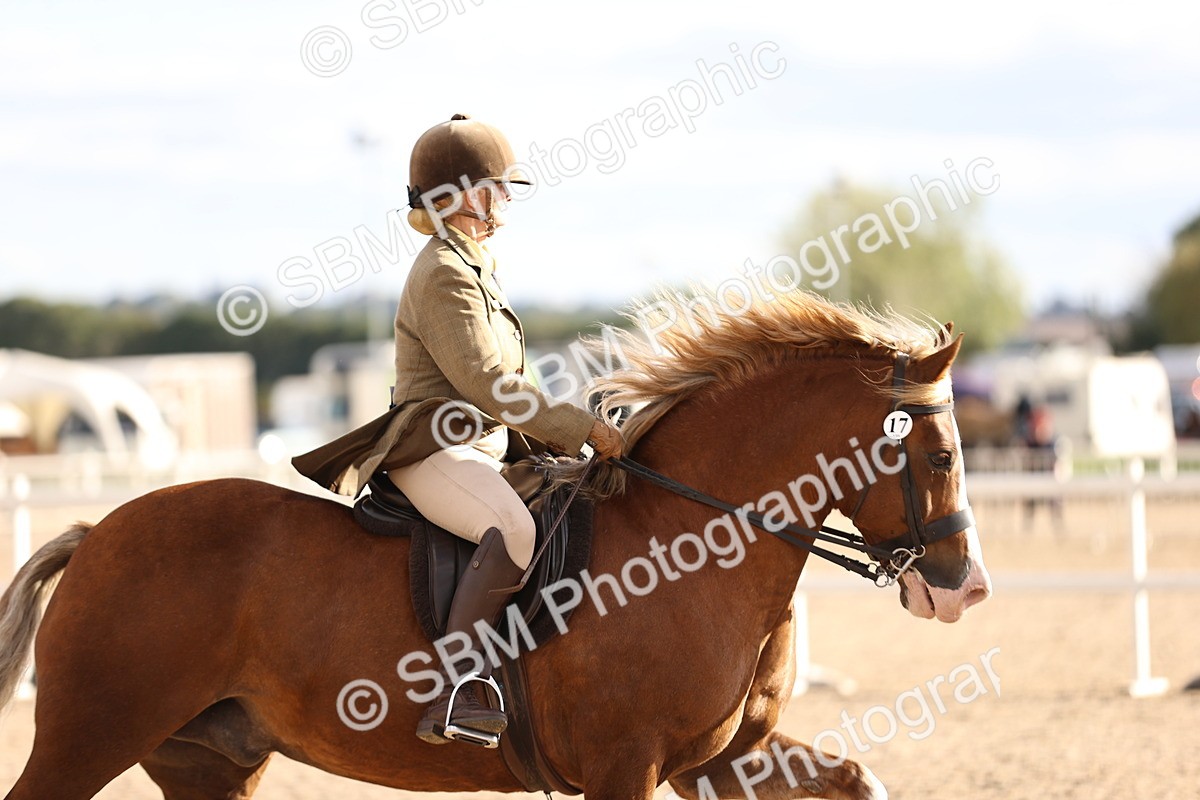 SBM_18262 - Class 423 - Equitation (best rider) Adult