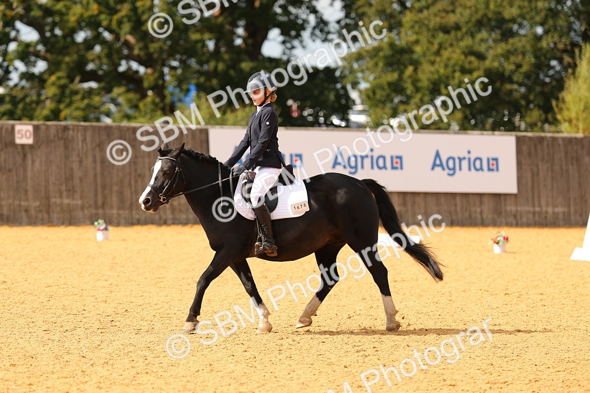 SBM_48207 - D22 - Junior Championship - Intro B