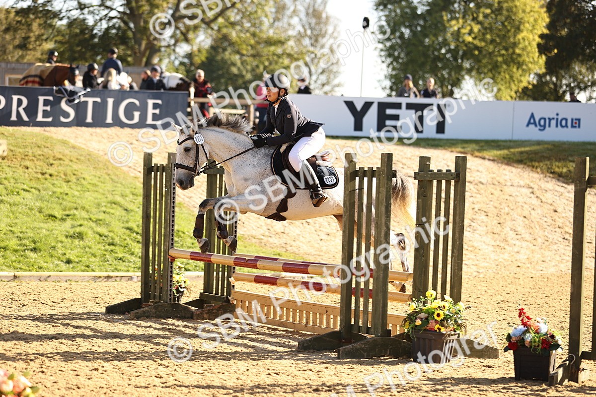 SBM_35096 - J38 - Senior 80cm Championship