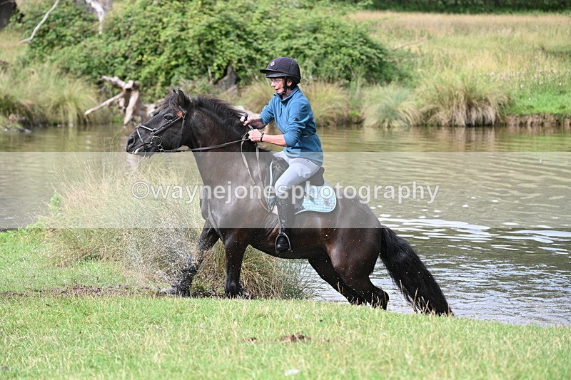 WJ7_1190 - Time at Water 10:09 to 10:47