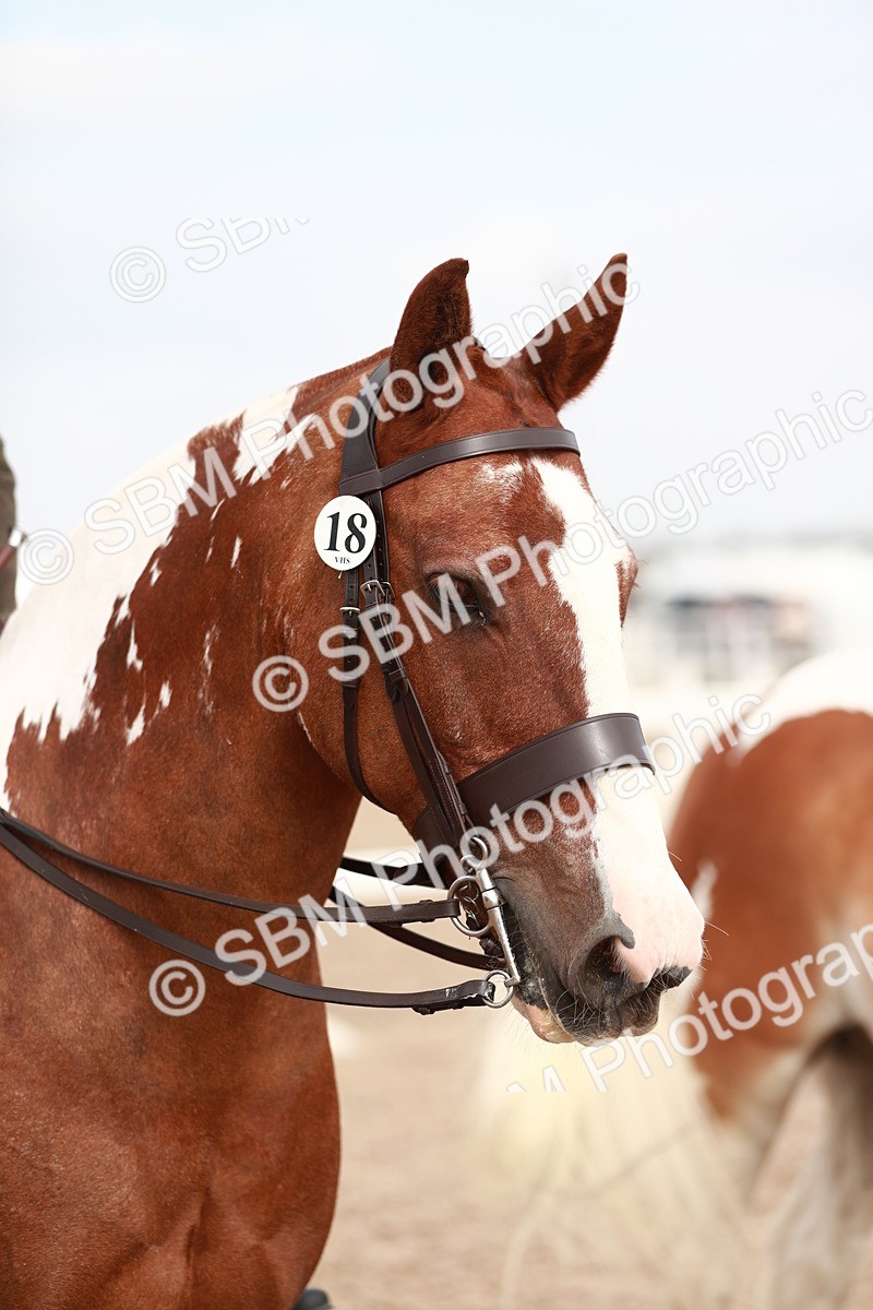 SBM_16710 - Class 214 Ridden Cob