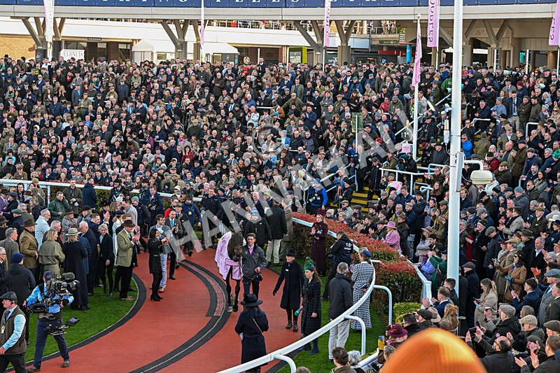130326-Race 5-Gaelic Warrior-2924 - 13th March