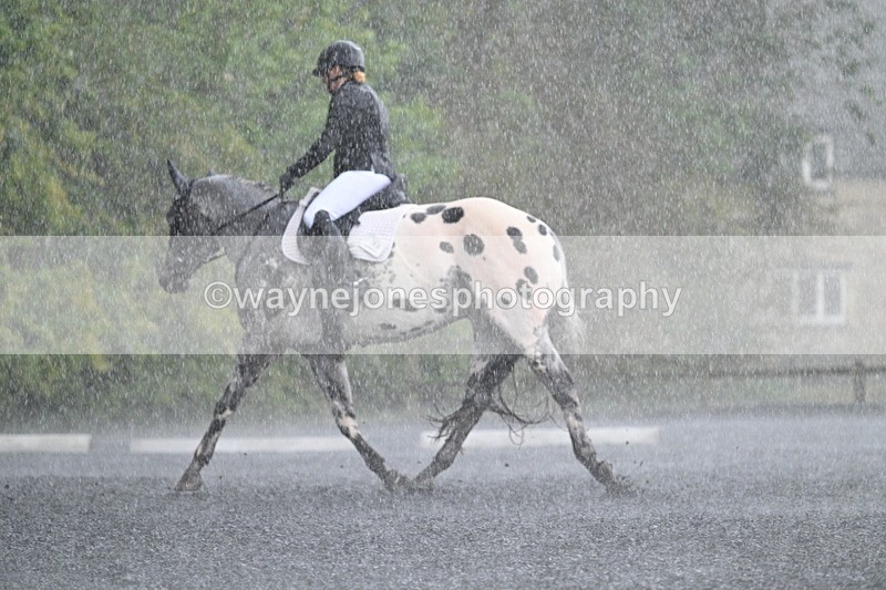 WJ7_8272 - Time 14:02 to 14:11