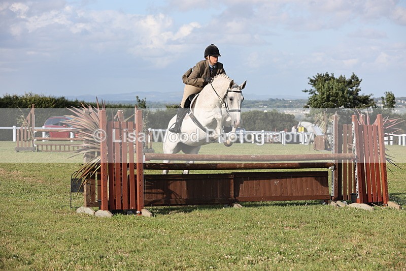 JPP_3369 - Class 22: Working Hunter 90cm