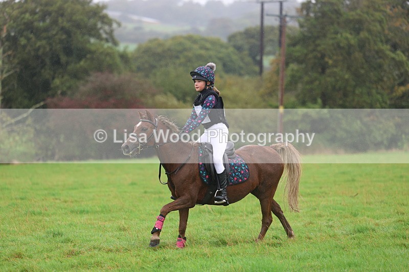 3E7A1037 - Class 1: 65cm: Rails