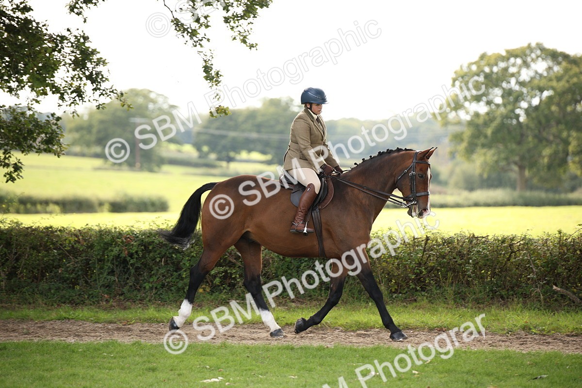 SBM_70367 - S66 - Hunter Ridden