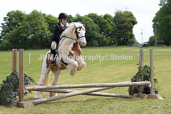 IMG_3050 - Working Hunter