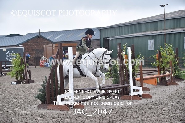 JAC_2047 - CLASS 1 Nursery Novice Working Hunter