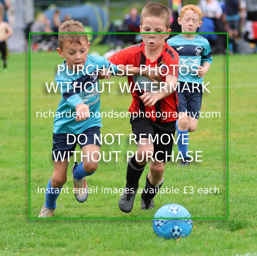 533A7767 - Westgate Under 7's