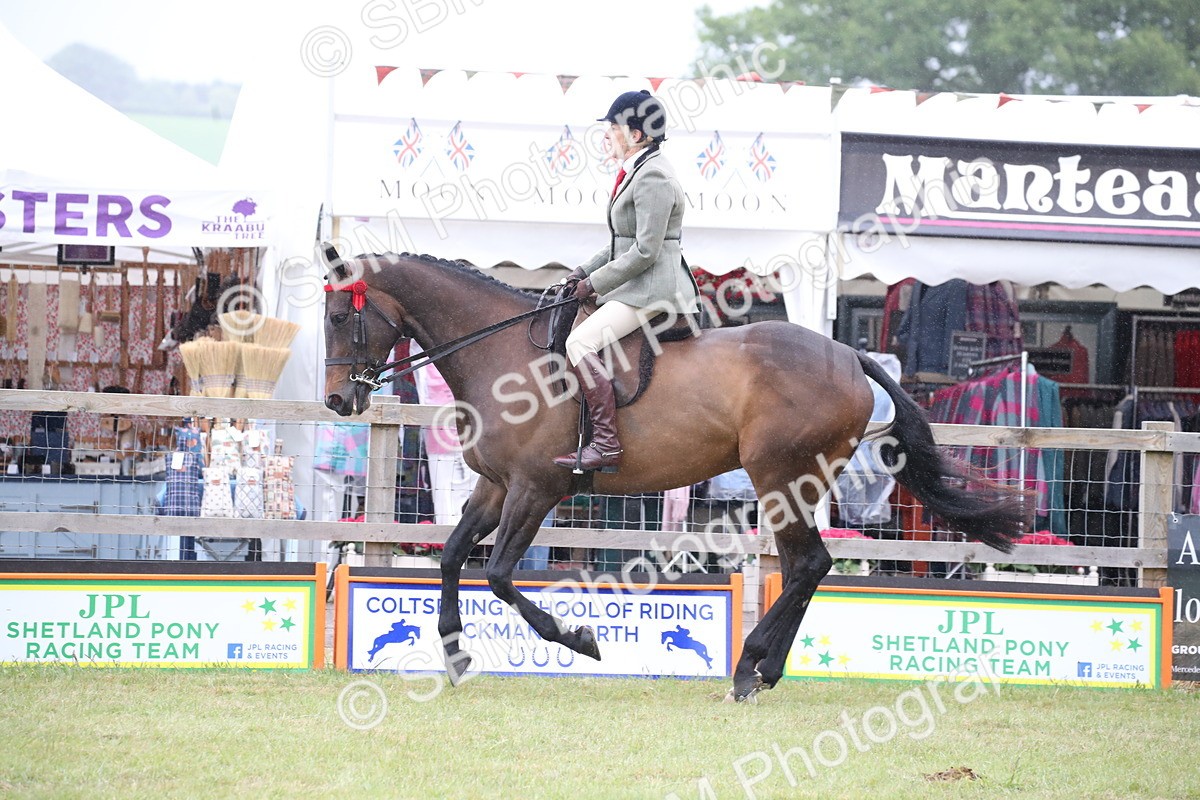 SBM_11450 - Class 94 - LIHS BSHA Racehorse to Showhorse