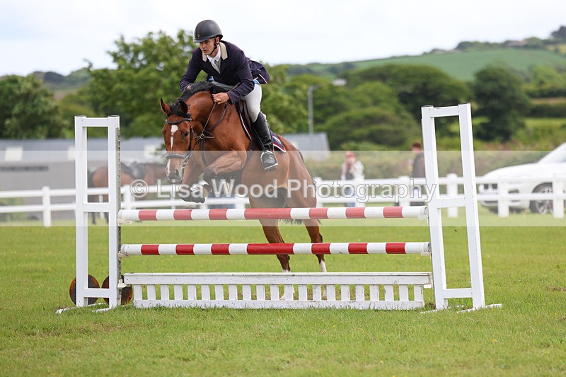 3E7A7686 - Class 13: Senior British Novice/90cm open