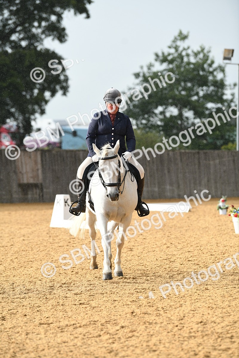 SBM_11116 - D28 Elementary Taster Elementary 42