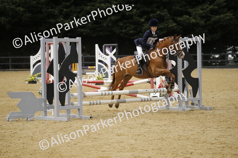 20250622-5947 - 60cm