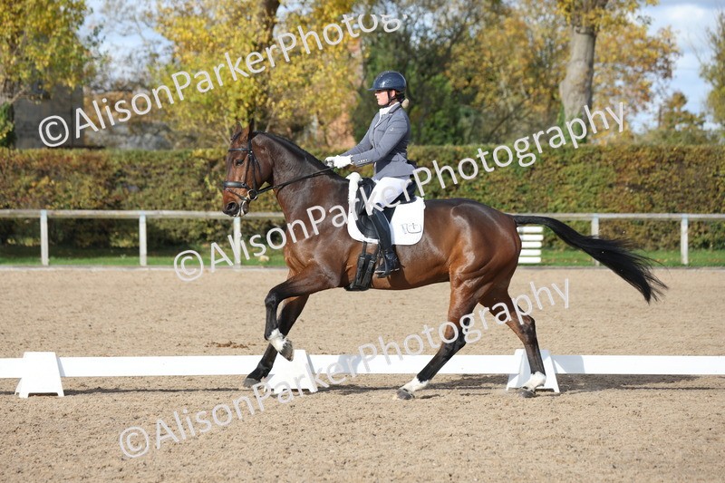 20251102-1102 - Class 6 - Elementary 6