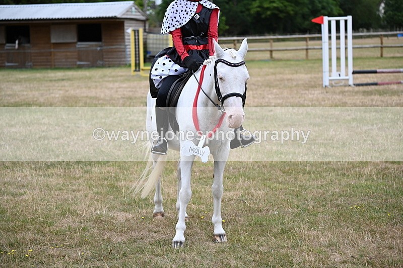 WJ6_4954 - Class 11 Fancy Dress