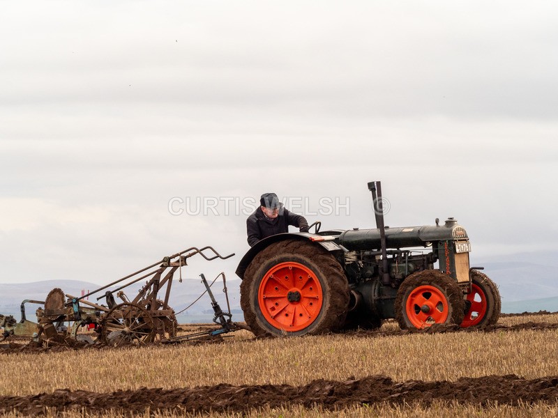 PB260070 - Lauderdale Ploughing Society - Ploughing match 26-11-22