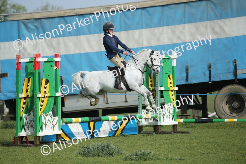 20260426-0105 - Class 13 - Rookie Jumping 50cm