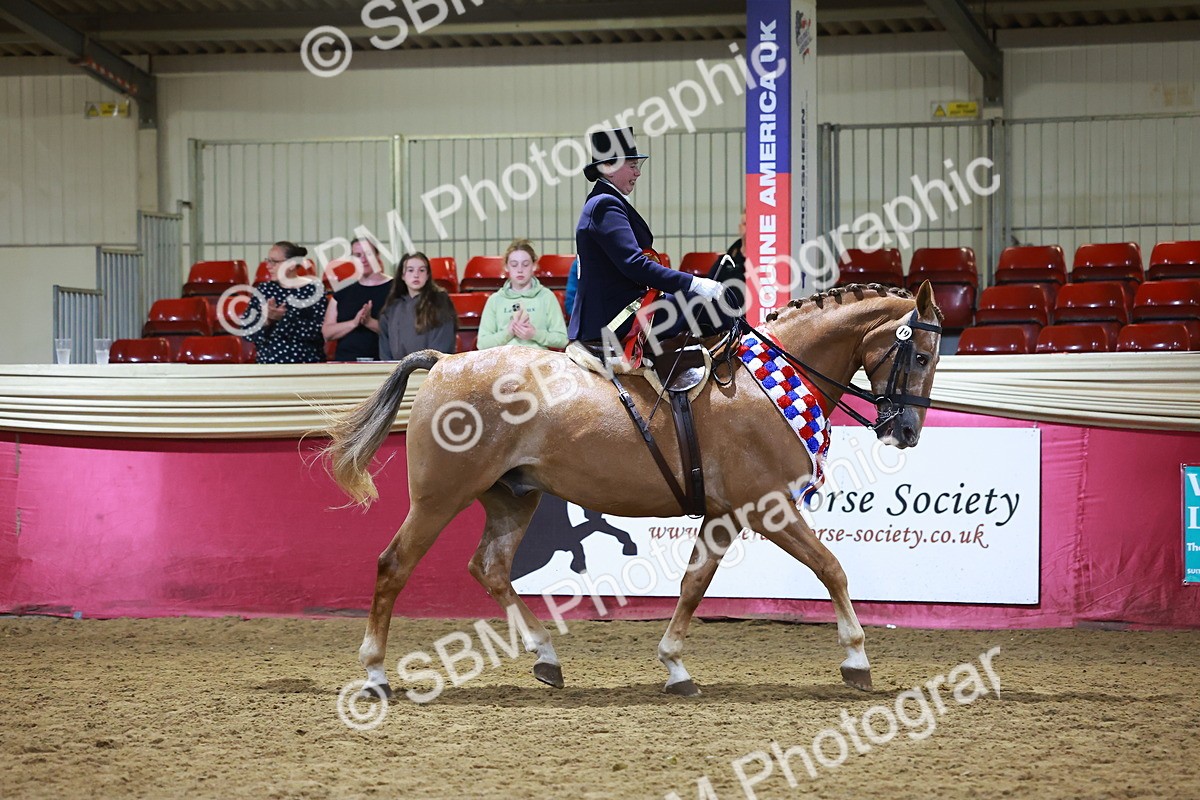 SBM_15759 - Class T - Working Veteran Champ