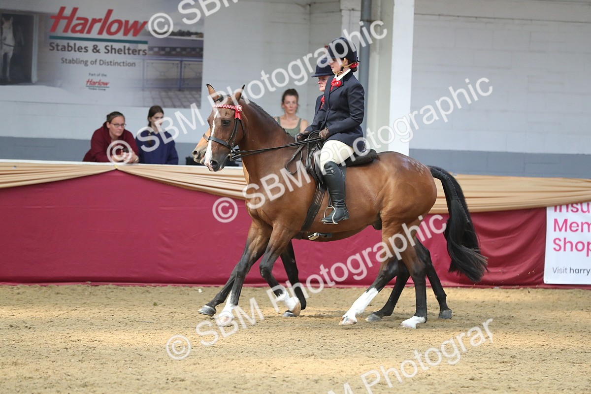 SBM_13650 - Class 109 Ridden Pairs - Section B