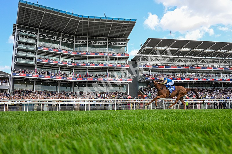 220826-Race 1-Archivist-5606 - Race 1 13.50pm Sky Bet Strensall Stakes