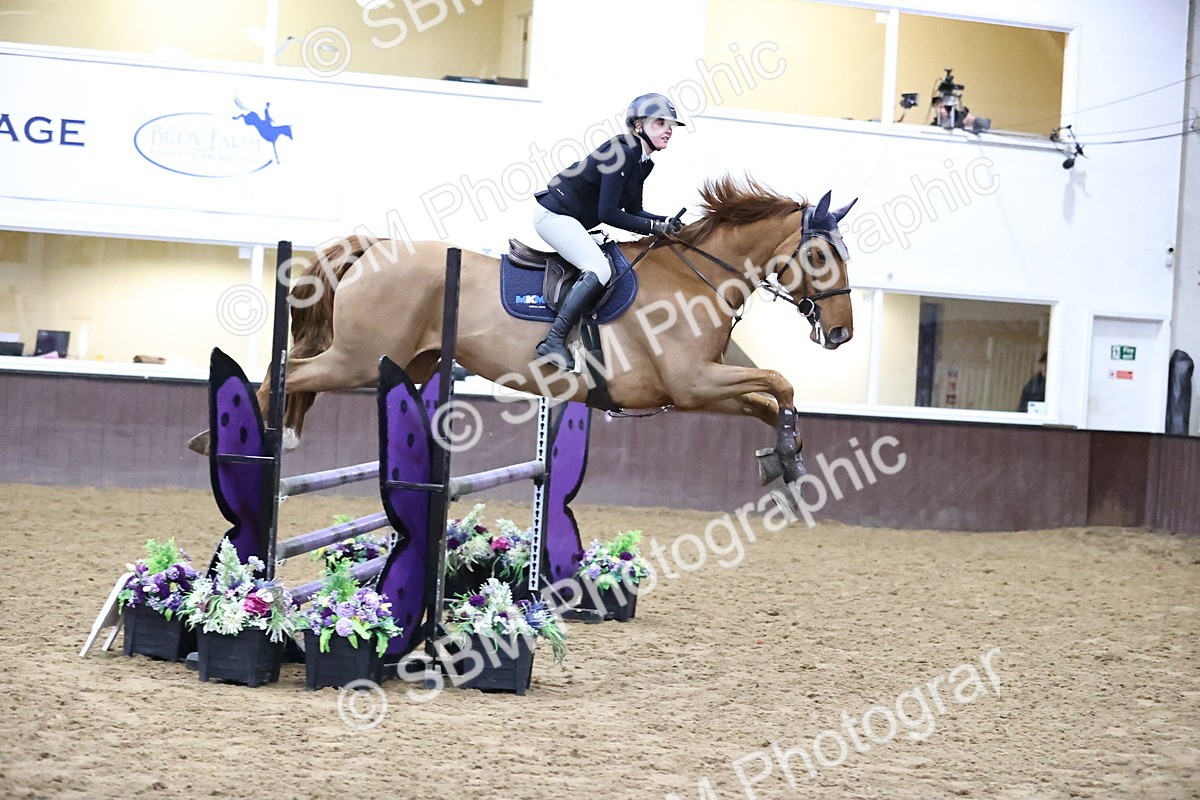SBM_008975 - Class 20 - Senior British Novice - 80cm